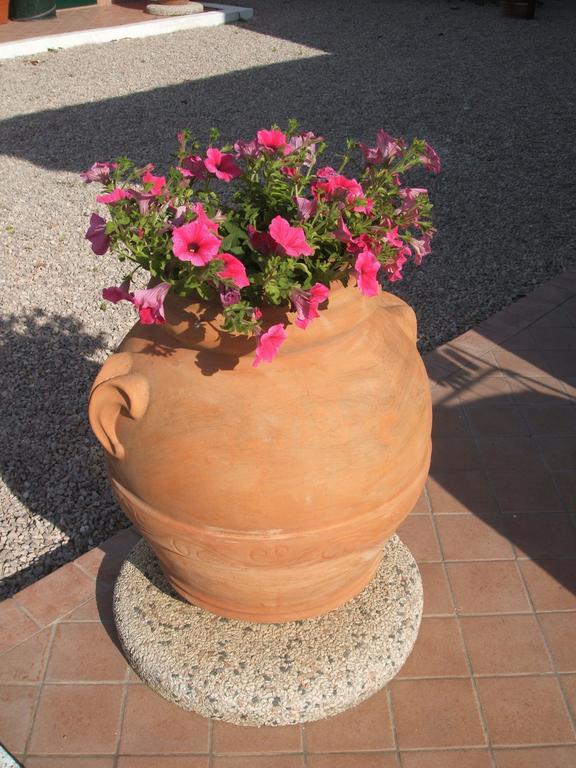La Locanda Country House Borgo Montenero Dış mekan fotoğraf